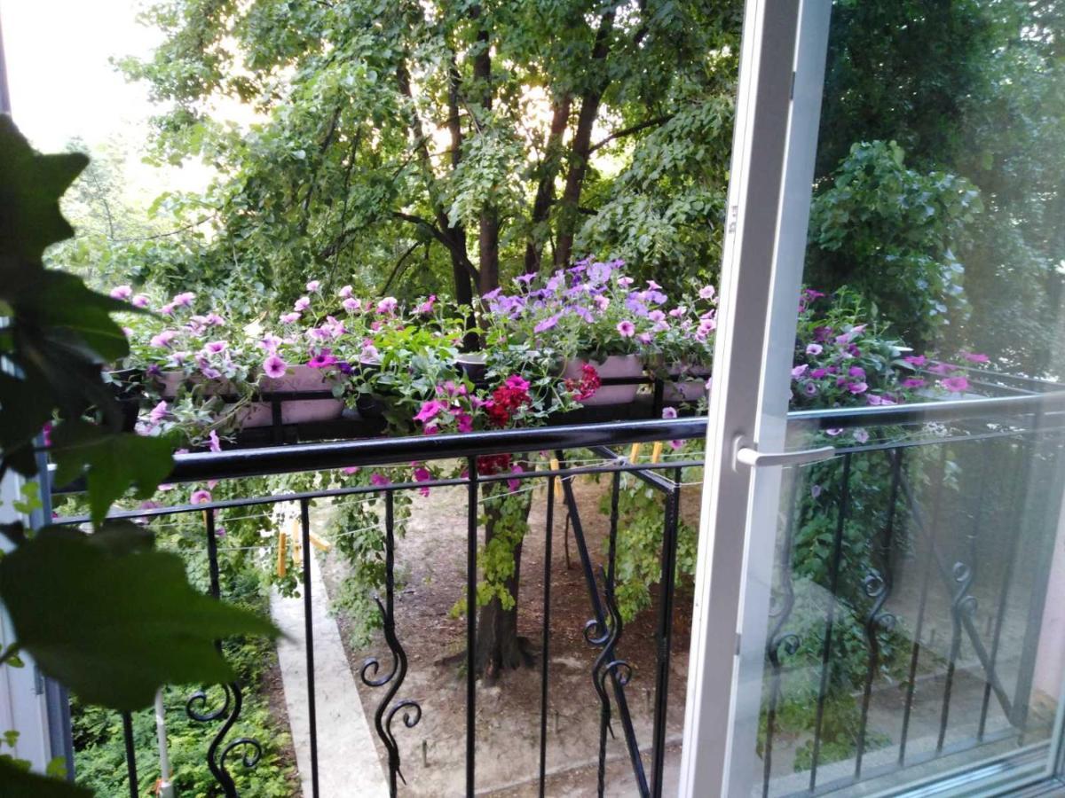 Ana Apartment Novi Sad Extérieur photo